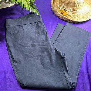 📌Briggs Blue Wide Elastic Waistband Stretch Rayon Pants with Pockets